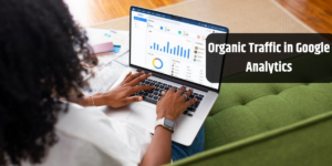 Organic Traffic in Google Analytics