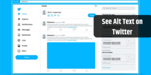 See Alt Text on Twitter